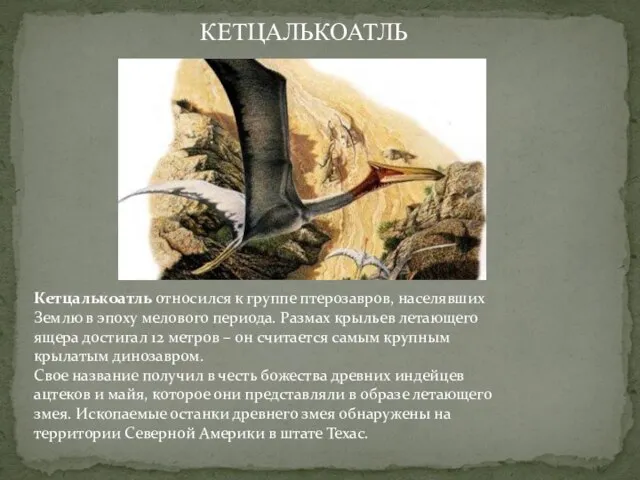 Кетцалькоатль относился к группе птерозавров, населявших Землю в эпоху мелового периода. Размах