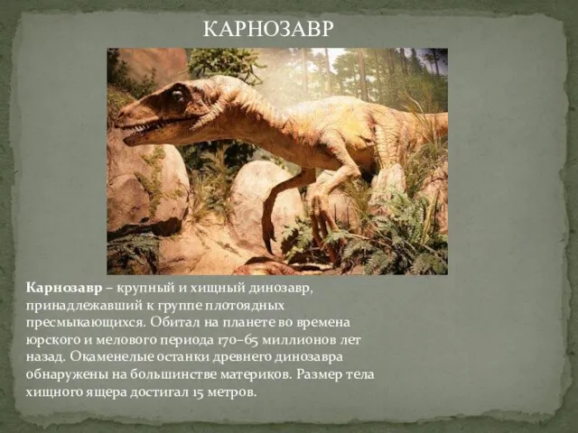 Карнозавр – крупный и хищный динозавр, принадлежавший к группе плотоядных пресмыкающихся. Обитал