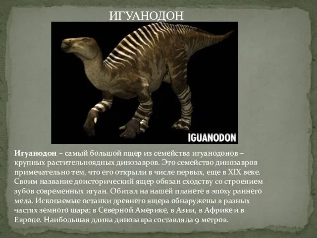 Игуанодон – самый большой ящер из семейства игуанодонов – крупных растительноядных динозавров.