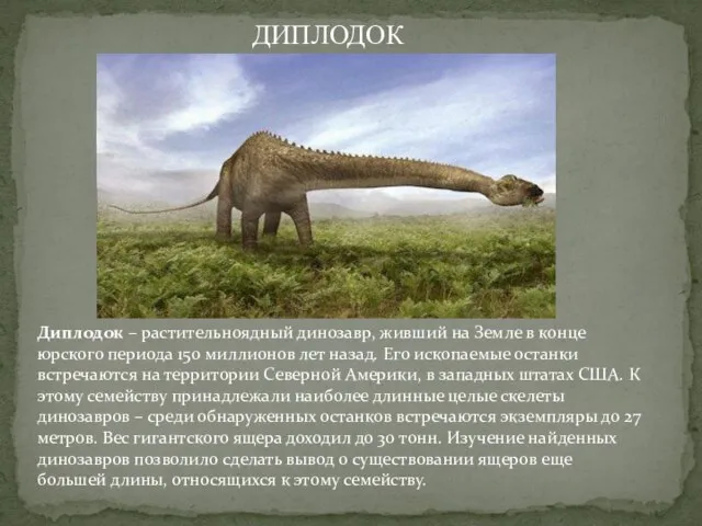 Диплодок – растительноядный динозавр, живший на Земле в конце юрского периода 150