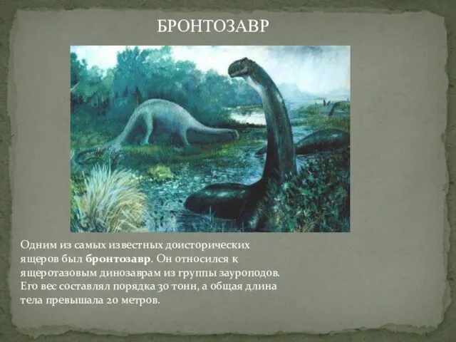Одним из самых известных доисторических ящеров был бронтозавр. Он относился к ящеротазовым