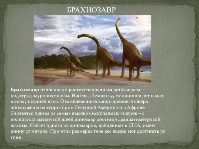 Брахиозавр относился к растительноядным динозаврам – подотряд зауроподморфы. Населял Землю 155 миллионов