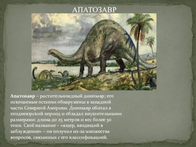 Апатозавр – растительноядный динозавр; его ископаемые останки обнаружены в западной части Северной