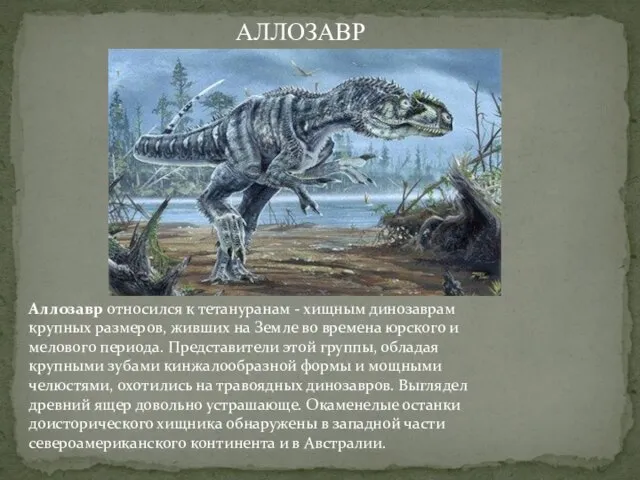 Аллозавр относился к тетануранам - хищным динозаврам крупных размеров, живших на Земле