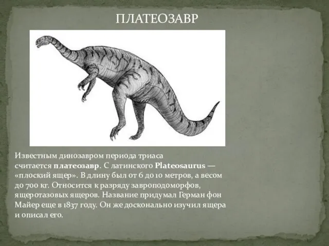 Известным динозавром периода триаса считается платеозавр. С латинского Plateosaurus — «плоский ящер».