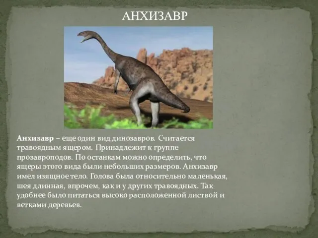 Анхизавр – еще один вид динозавров. Считается травоядным ящером. Принадлежит к группе