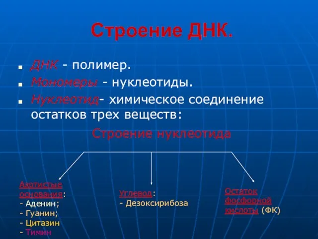 Строение ДНК. ДНК - полимер. Мономеры - нуклеотиды. Нуклеотид- химическое соединение остатков