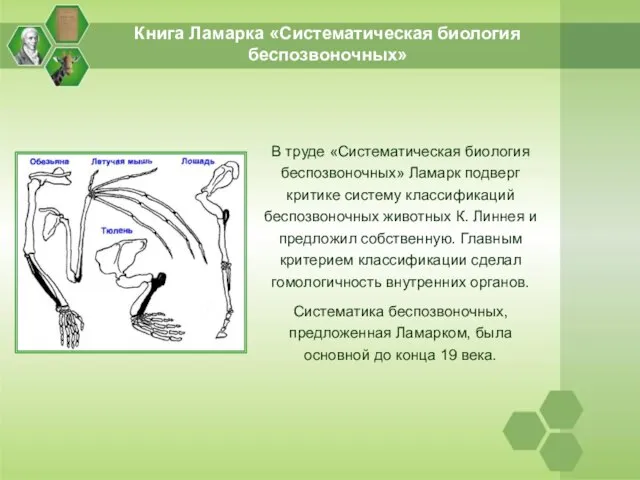 Книга Ламарка «Систематическая биология беспозвоночных» В труде «Систематическая биология беспозвоночных» Ламарк подверг