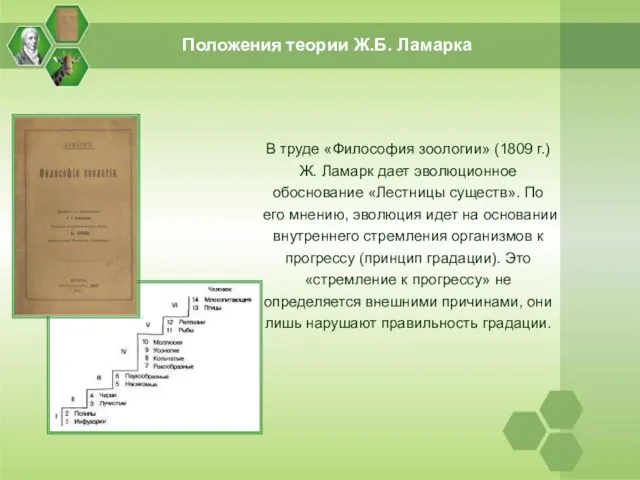 В труде «Философия зоологии» (1809 г.) Ж. Ламарк дает эволюционное обоснование «Лестницы