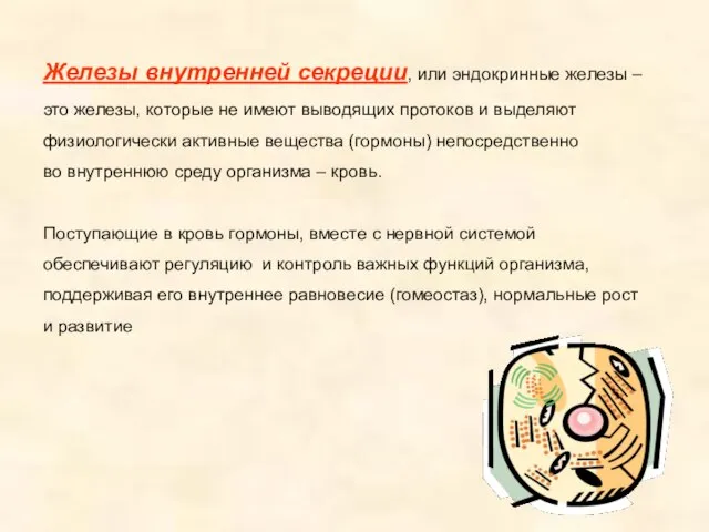 Железы внутренней секреции, или эндокринные железы – это железы, которые не имеют