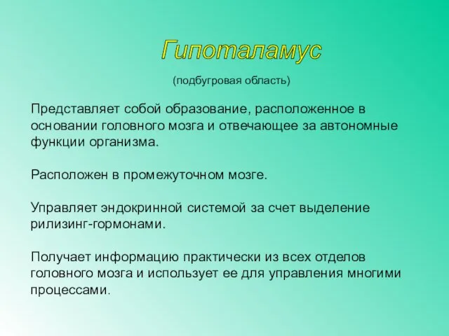 (подбугровая область) Представляет собой образование, расположенное в основании головного мозга и отвечающее