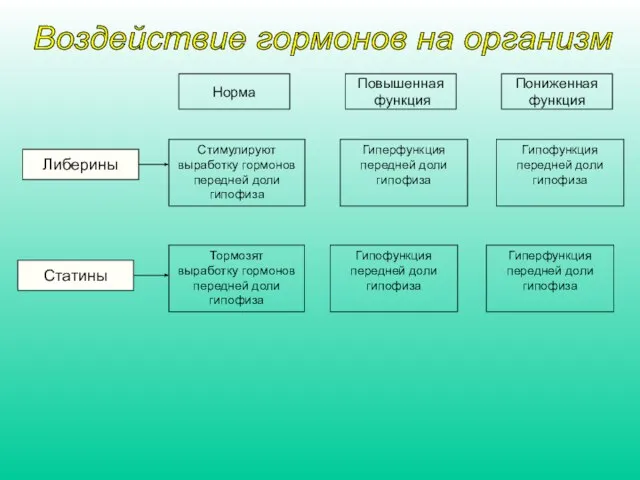 Либерины Статины Норма Повышенная функция Пониженная функция Стимулируют выработку гормонов передней доли