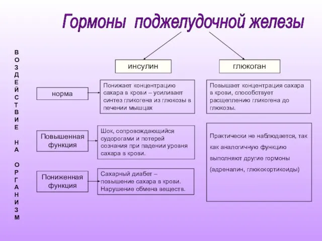 инсулин глюкоган норма Повышенная функция Пониженная функция Понижает концентрацию сахара в крови