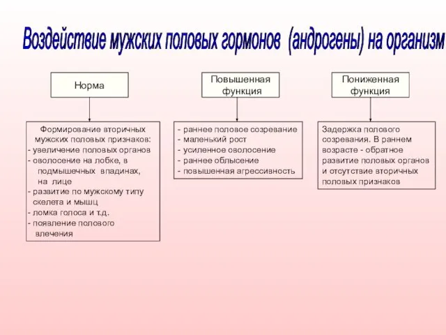 Норма Повышенная функция Пониженная функция Формирование вторичных мужских половых признаков: увеличение половых