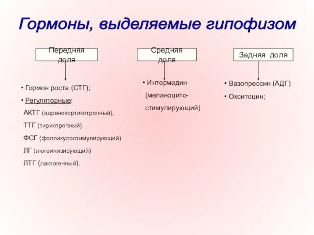 Передняя доля Гормон роста (СТГ); Регуляторные: АКТГ (адренокортикотропный), ТТГ (тириотропный) ФСГ (фолликулостимулирующий)