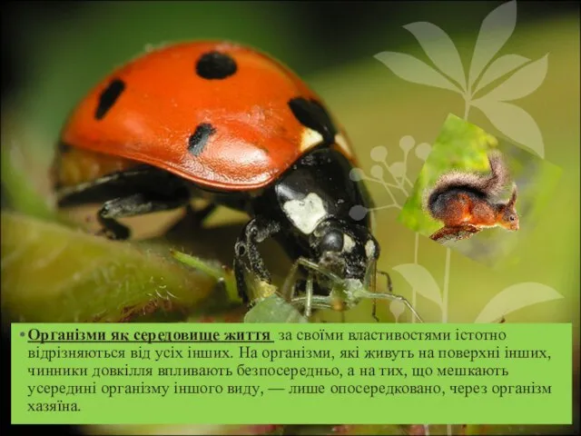 Організми як середовище життя за своїми властивостями істотно відрізняються від усіх інших.