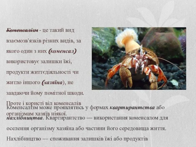 Коменсалізм - це такий вид взаємозв'язків різних видів, за якого один з