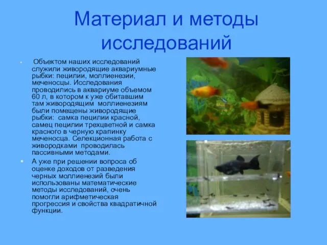 Материал и методы исследований Объектом наших исследований служили живородящие аквариумные рыбки: пецилии,