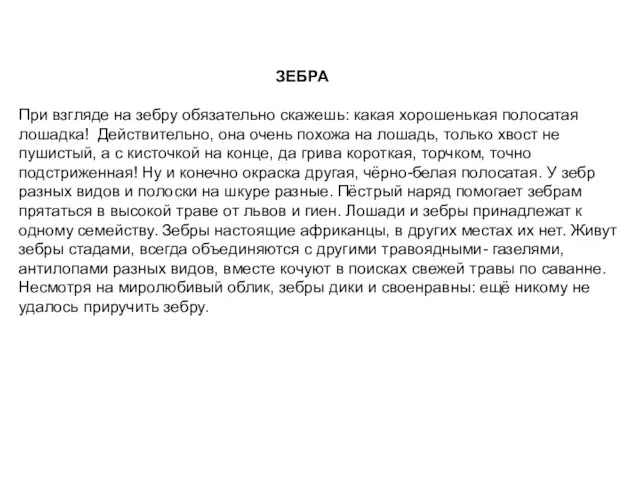 ЗЕБРА При взгляде на зебру обязательно скажешь: какая хорошенькая полосатая лошадка! Действительно,