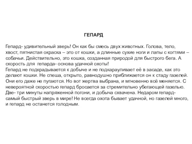 ГЕПАРД Гепард- удивительный зверь! Он как бы смесь двух животных. Голова, тело,