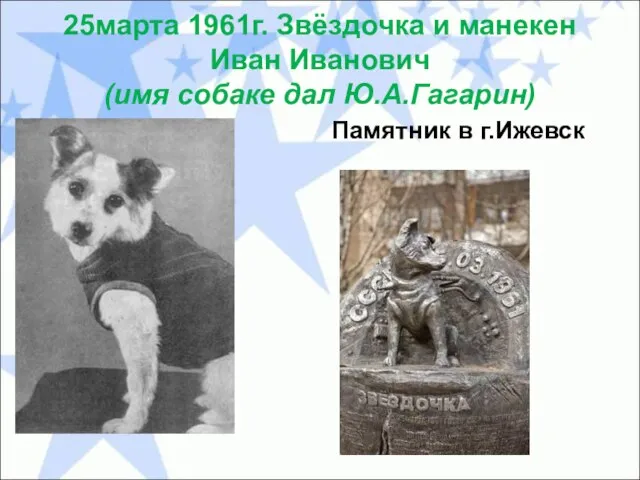25марта 1961г. Звёздочка и манекен Иван Иванович (имя собаке дал Ю.А.Гагарин) Памятник в г.Ижевск