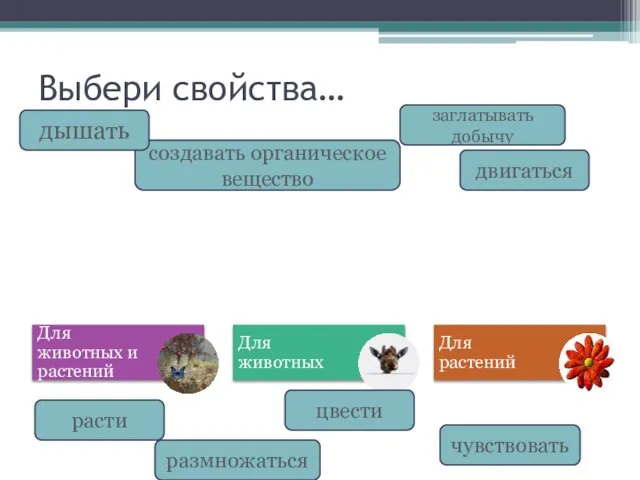 Выбери свойства… чувствовать цвести размножаться расти двигаться заглатывать добычу создавать органическое вещество дышать