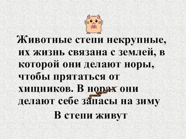 Животные степи некрупные, их жизнь связана с землей, в которой они делают