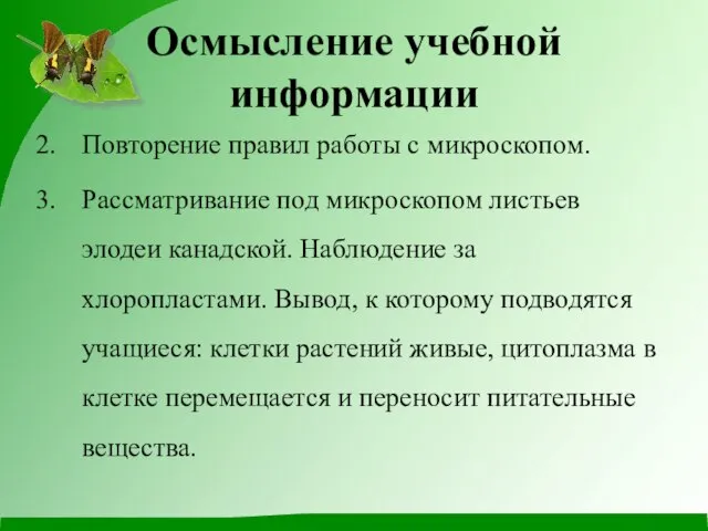 Осмысление учебной информации Повторение правил работы с микроскопом. Рассматривание под микроскопом листьев