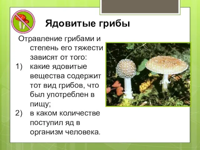 Ядовитые грибы Отравление грибами и степень его тяжести зависят от того: какие