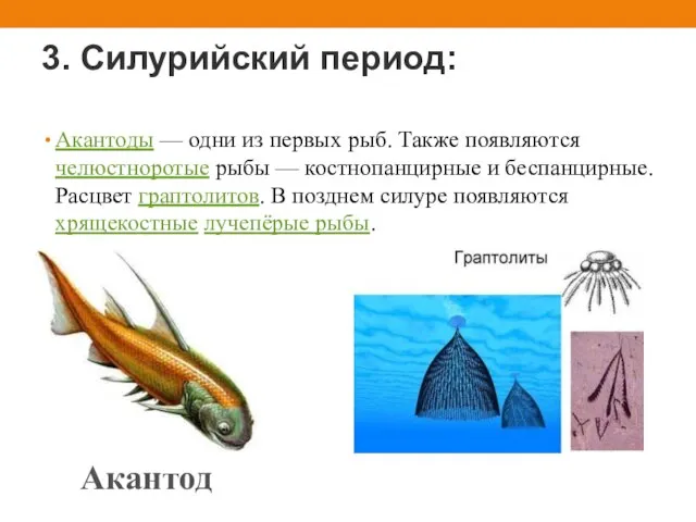 3. Силурийский период: Акантоды — одни из первых рыб. Также появляются челюстноротые