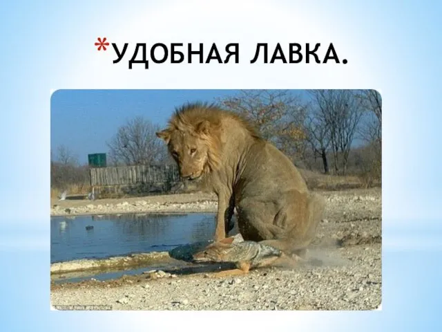 УДОБНАЯ ЛАВКА.