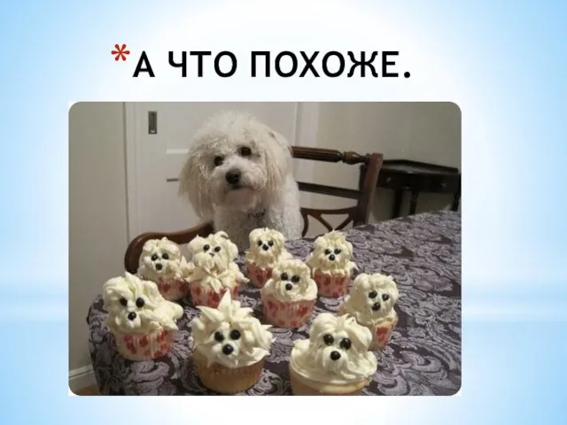 А ЧТО ПОХОЖЕ.