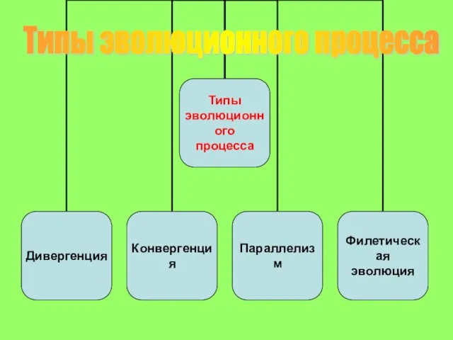 Типы эволюционного процесса