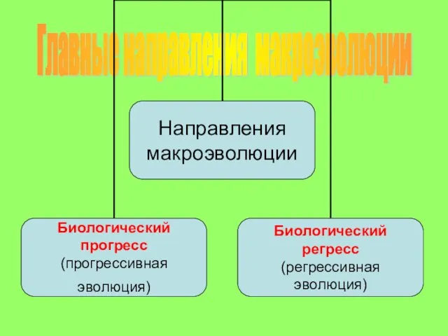 Главные направления макроэволюции