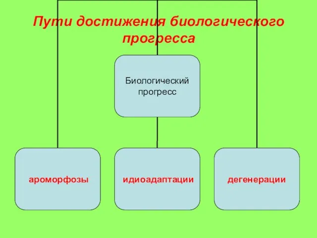 Пути достижения биологического прогресса