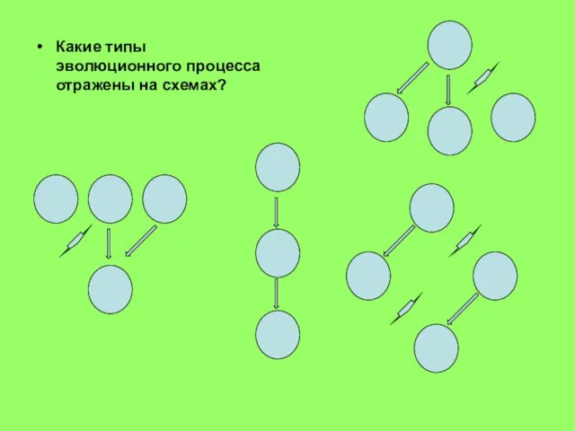 Какие типы эволюционного процесса отражены на схемах?