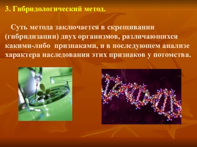 3. Гибридологический метод. Суть метода заключается в скрещивании (гибридизации) двух организмов, различающихся