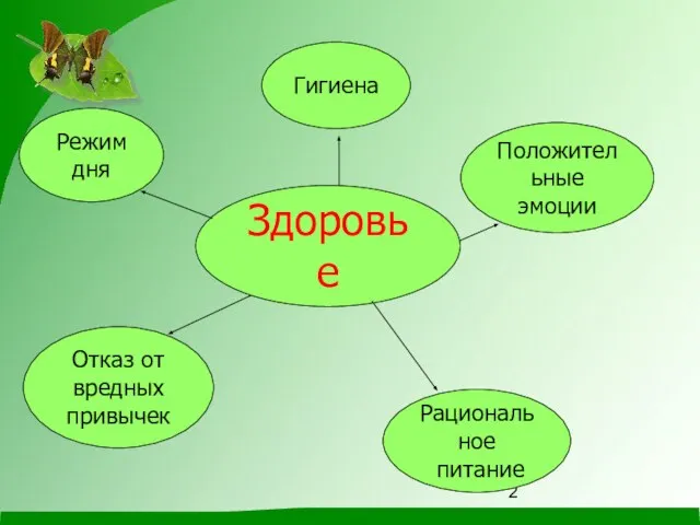 Здоровье Режим дня Гигиена Рациональное питание Отказ от вредных привычек Положительные эмоции