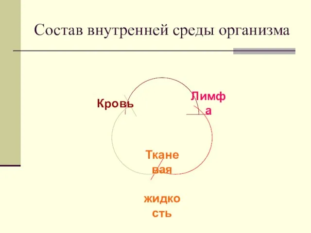 Состав внутренней среды организма