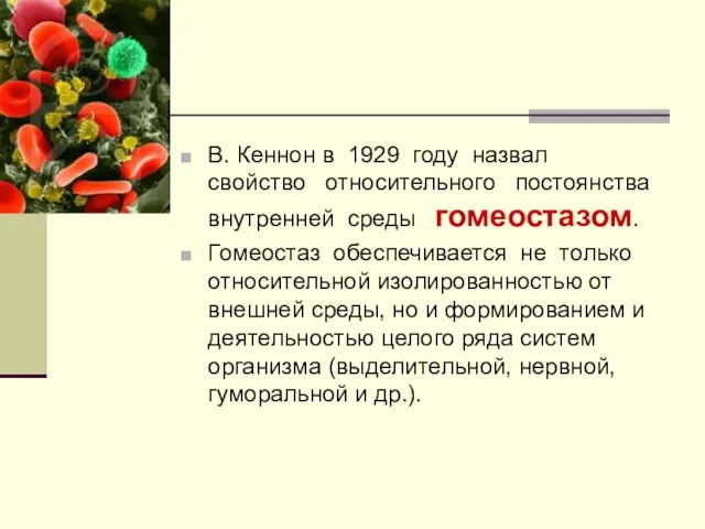 В. Кеннон в 1929 году назвал свойство относительного постоянства внутренней среды гомеостазом.