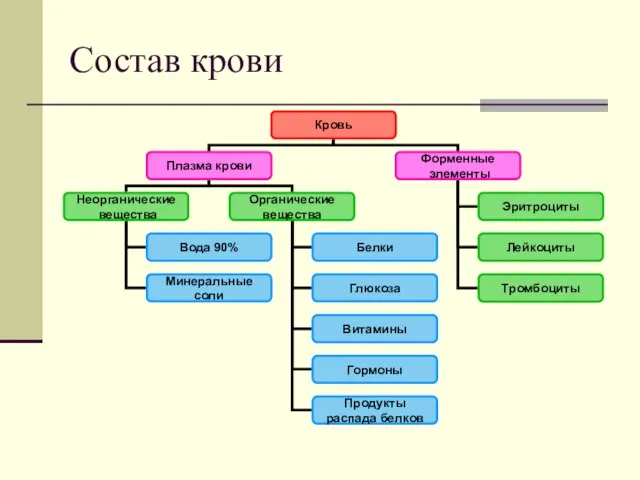 Состав крови