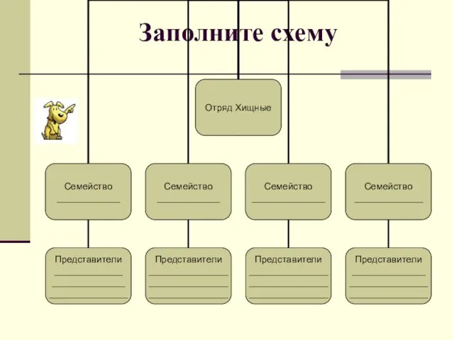 Заполните схему