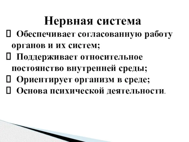 Нервная система Обеспечивает согласованную работу органов и их систем; Поддерживает относительное постоянство