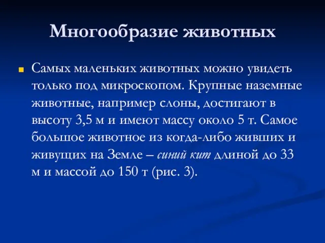 Многообразие животных Самых маленьких животных можно увидеть только под микроскопом. Крупные наземные