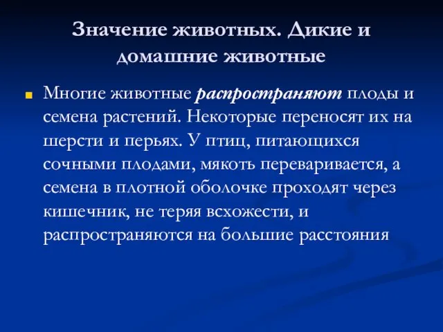 Значение животных. Дикие и домашние животные Многие животные распространяют плоды и семена