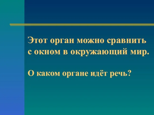 Этот орган можно сравнить с окном в окружающий мир. О каком органе идёт речь?