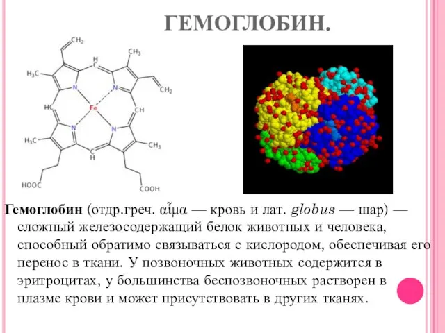 ГЕМОГЛОБИН. Гемоглобин (отдр.греч. αἷμα — кровь и лат. globus — шар) —