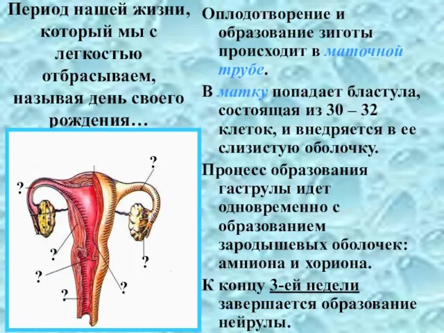 Период нашей жизни, который мы с легкостью отбрасываем, называя день своего рождения…