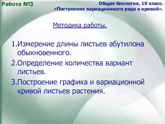 1.Измерение длины листьев абутилона обыкновенного. 2.Определение количества вариант листьев. 3.Построение графика и