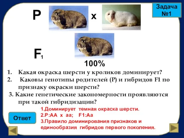 P х F 1 100% Какая окраска шерсти у кроликов доминирует? Каковы